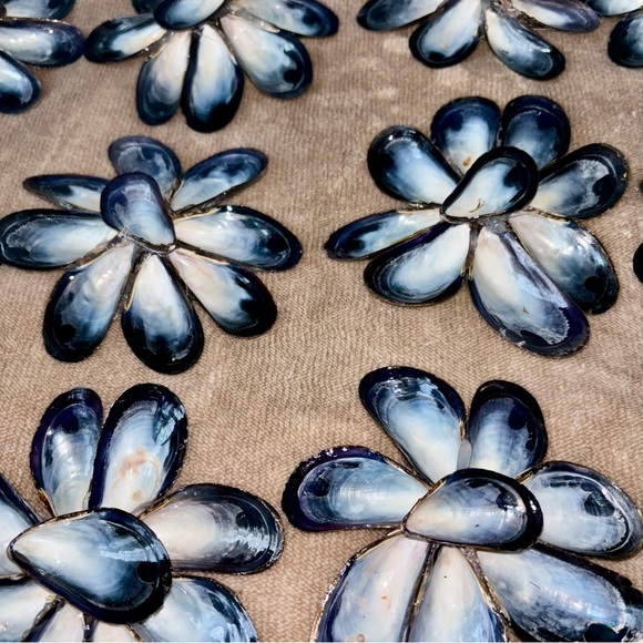 Delicate Shell Flowers - Picture 4 of 8